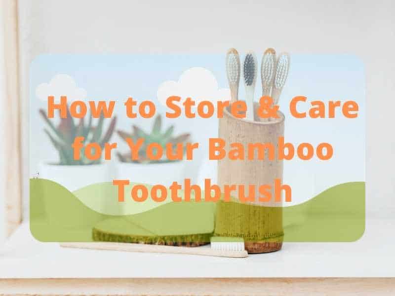 How to Store & Care for Your Bamboo Toothbrush