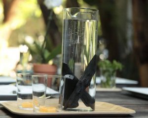 Water Purifier