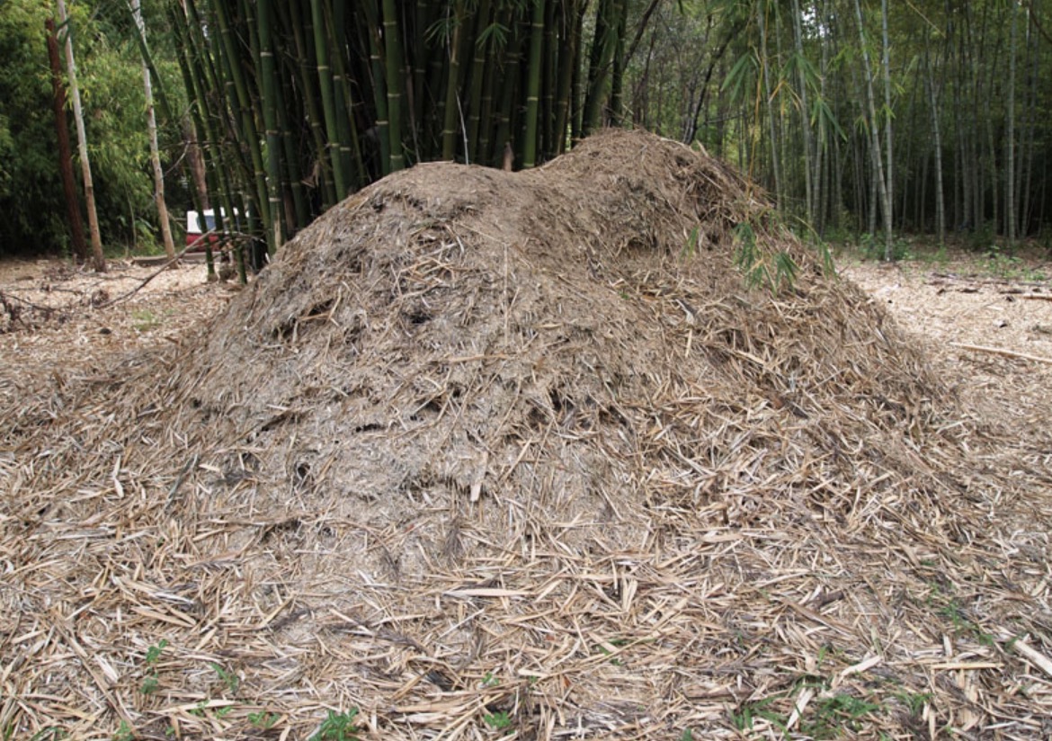 What Is A Bamboo Mulch