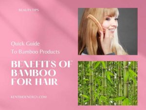 Benefits Of Bamboo For Hair