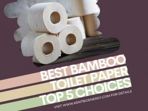 Best Bamboo Toilet Paper