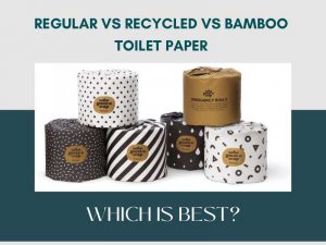 Regular vs Recycled vs Bamboo Toilet Paper - Which Is Best