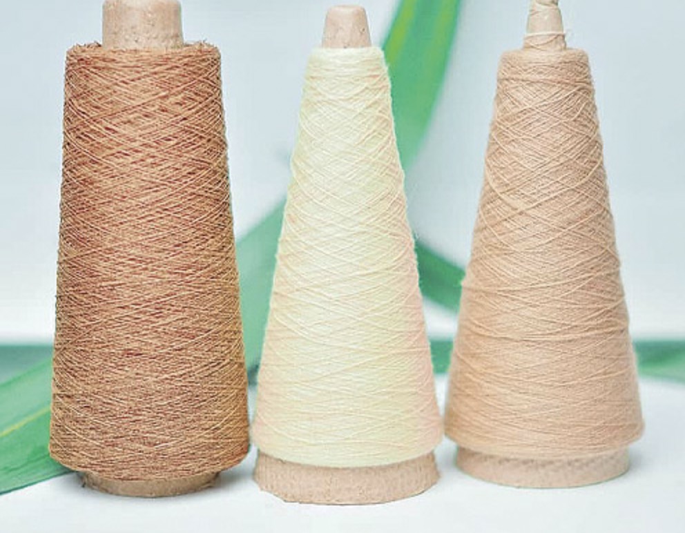 Bamboo textile
