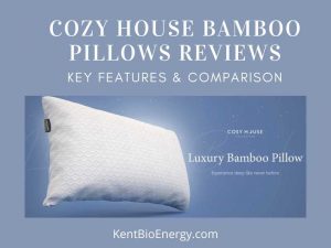 Key Features & Comparison
