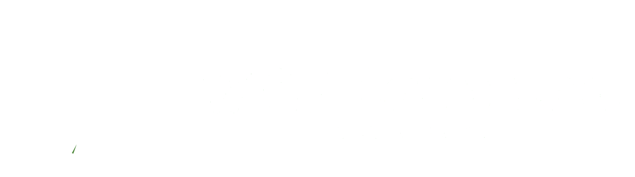 Wiki Bamboo